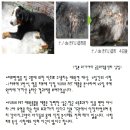 가스테크코리아(주)