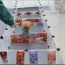 브루하하유치원 이미지