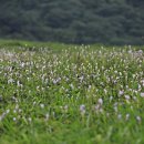 비산고가 아래 이미지