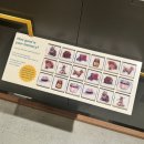 추억의박물관 | 영국 에든버러 [Museum of Childhood] 로열마일에 위치한 추억의 장난감 박물관 방문 후기 !