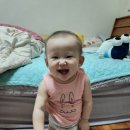 소망아기어린이집 이미지