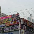 미인 명가