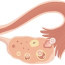 엠여성의원 이미지