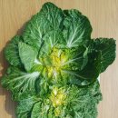 진도 무릉도원 이미지