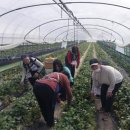 진행농장 이미지