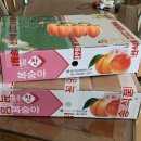 김종달농장 | 2022 복숭아 사랑단 최종본 (오도로끼, 차돌, 경봉, 천하제일도)