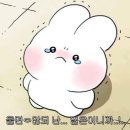 삼육대학교 | [2025 파란사다리] 삼육대학교 캐나다 서류 합격 후기! 30:1을 뚫다!