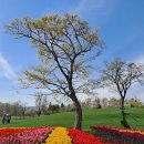 동박새우는집 이미지