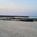 제주감성숙소 월정연가 이미지