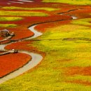 불타는석쇠 이미지