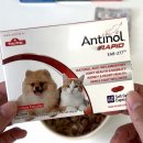 토비동물병원 | 안티놀 래피드 내돈내산 1년 급여 후기 / 강아지 관절 영양제 / 슬개골 탈구