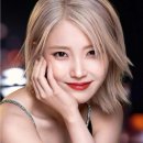 와우에스티 이미지