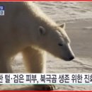 2024-02-0082 - 부여군 | 2024-02-0082
