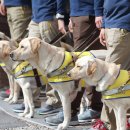 삼성화재앞 인도 이미지