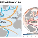 어쩌면 지구온난화가 아니라 빙하기가 올지도 모른다함 이미지