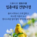 입춘에 꿈을 그려보자 이미지