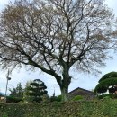 유수암돌집 민박 이미지