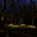 빛의 정원 - 20 | 2025 통도사 미디어아트｜가을밤, 인연을 따라 걷는 빛의 정원 산책 (운영시간·입장료·후기)