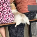 품걸별마당 | 오랜만에 블로깅