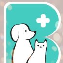 24시 블루밍 동물병원 | 24시블루밍동물병원 수의학칼럼 (26년 상반기)