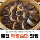 예천주유소 | 예천 순대국밥 맛집｜백년가게 용궁순대 솔직 후기 (+용궁순대축제)