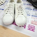 로얄손세탁 이미지