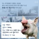 에스더 이미지