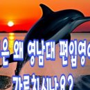 웅쌤어학원 이미지