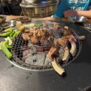 서현실비야탑직영점 | 야탑 고기집 추천, 서현실비 야탑직영점 내돈내산 후기