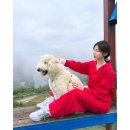 [모녀여행] 단양 패러글라이딩 “스카이패러” 후기
