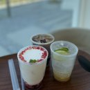 영순상회 | [강원도 여행] 찐맛집 후기 중앙시장 맛집 / 속초 마리나베이