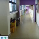 영림초등학교 이미지