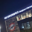 210 | 대전한화생명볼파크 1루 내야지정석 210구역 직관 후기_1인석, 시야