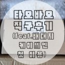 케이씨엔