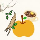 건강애 | 건강애 배도라지쌍화 워킹맘 컨디션관리템 추천 맛있는 배도라지