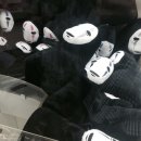 MEGABOX게임장 이미지