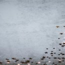 남동중학교 이미지