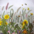 소박한 뜰 이미지