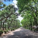 부천중앙공원 이미지