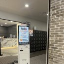 일산 키즈카페 역대급으로 좋았던 아이킹 화정점