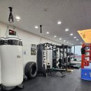 모던복싱 이미지