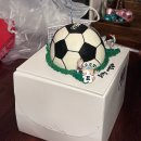 서귀포 홍리 실내수영장 | 제주 서귀포 독채 펜션, 야외수영장 있는 오드리물 A동 숙소 숙박 후기