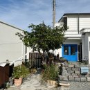 밤비노집 이미지