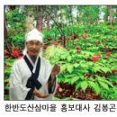 한반도산삼마을