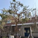 초가집가든 | [밀양/맛집]밀양 초가집 가든 &amp; 밀양 클래식 도가 후기