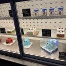 도토리케이크 이미지