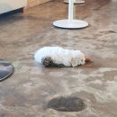 베이비멍 이미지