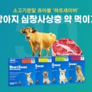 통복시장 로터리 이미지