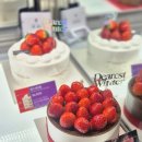 투썸 | 투썸 스초생 후기 크리스마스 케이크 사전예약 꿀팁