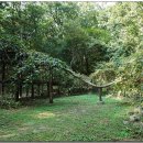 종로-종로-종로-종-251 이미지